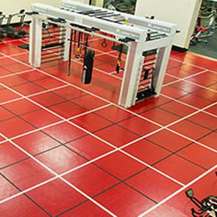 Gym floor fitness equipment