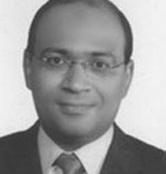 Professor Hisham Khalil