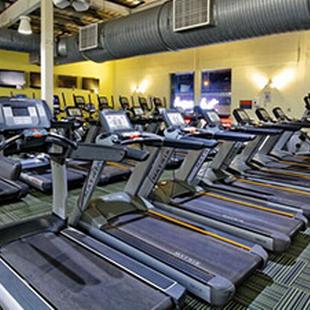 Treadmills in Yeovil gym
