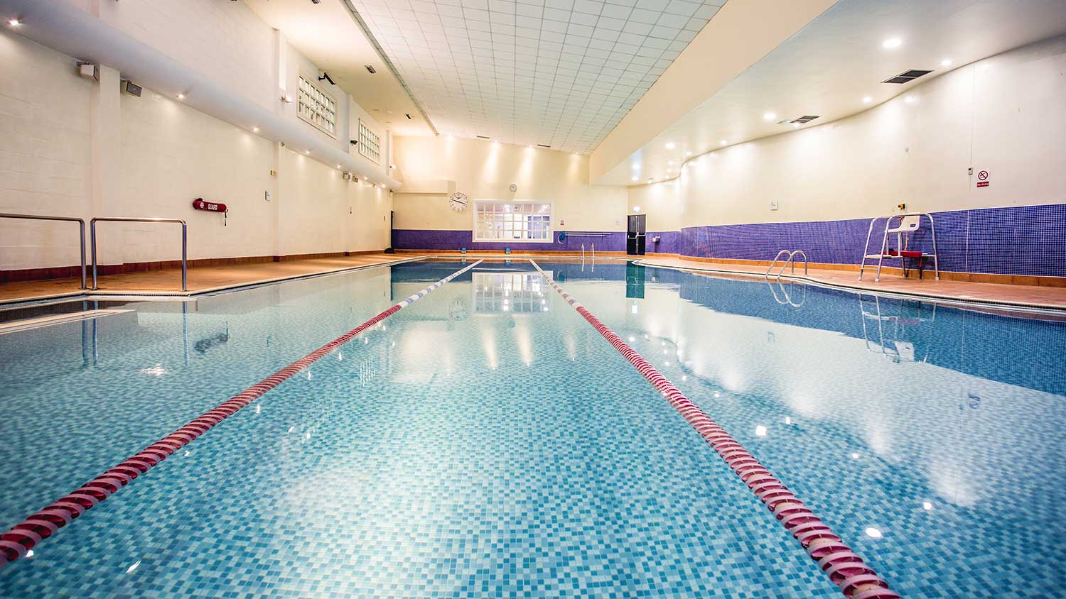6 Day Best Gyms With Pools with Comfort Workout Clothes