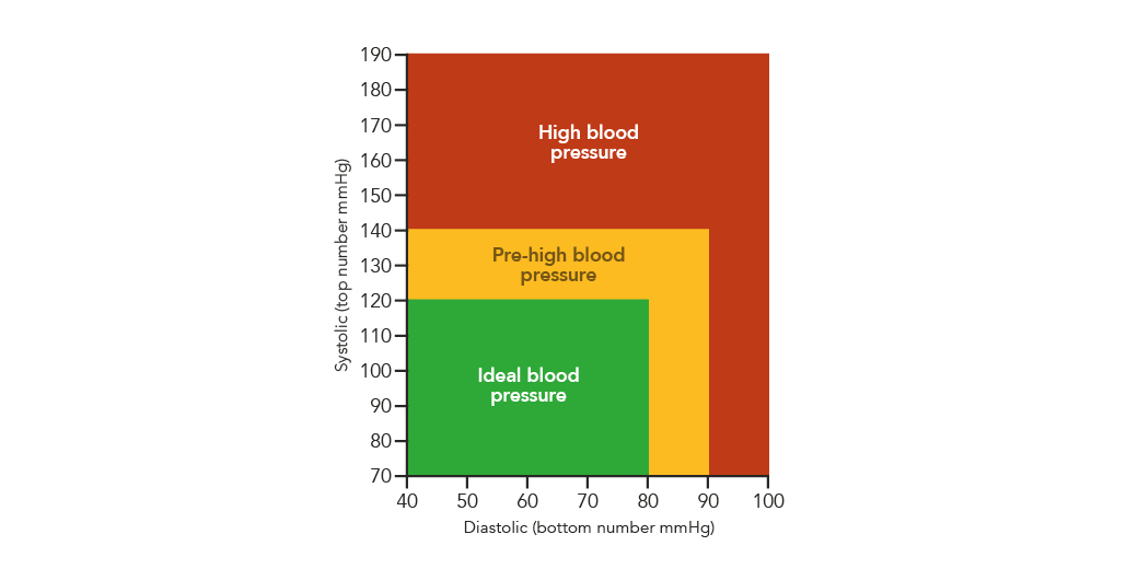 Blood pressure infographic
