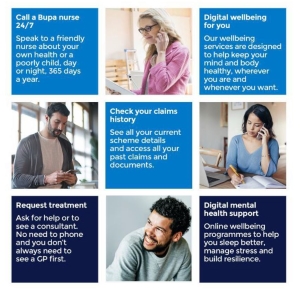 Bupa healthcare services