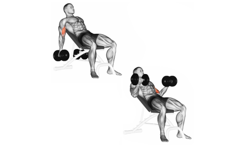 Incline bench curls for bigger biceps