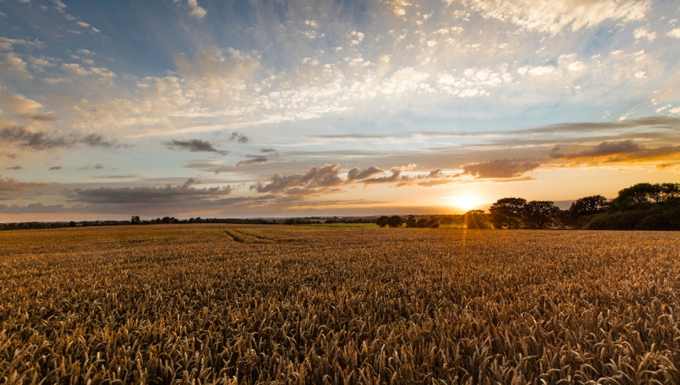 Viking Way circular walk