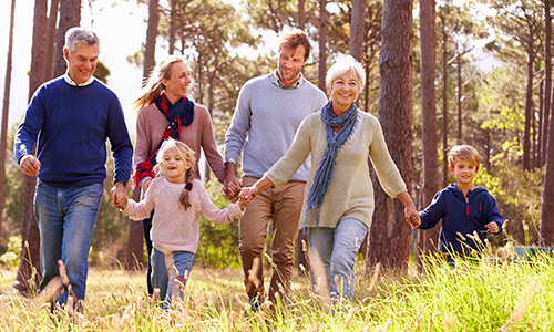 Inter-generational family walking through golden fields holding hands and smiling