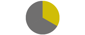 Pie chart icon - joint pain