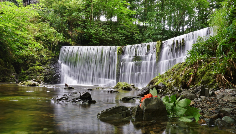 Stock Ghyll