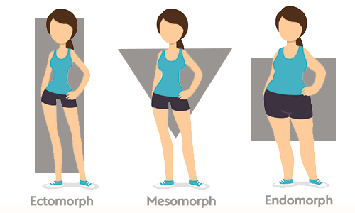 Ectomorph, endomorph, mesomorph