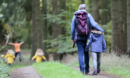 Taking a stroll in the woods