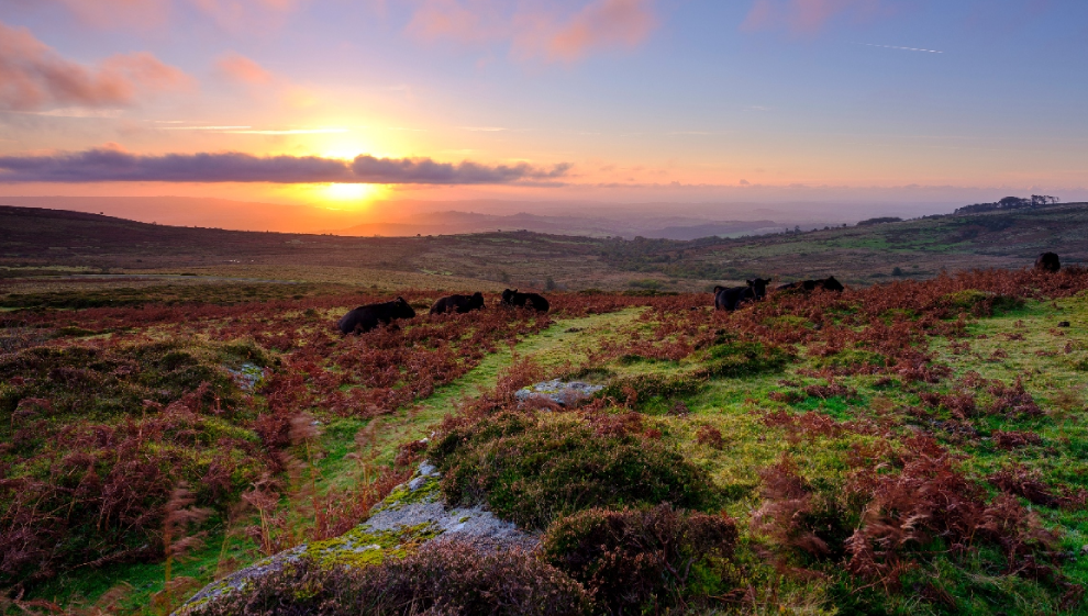 Dartmoor National Park