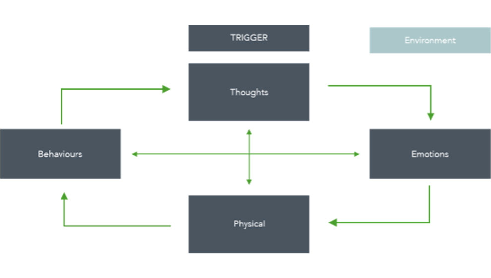 The CBT model