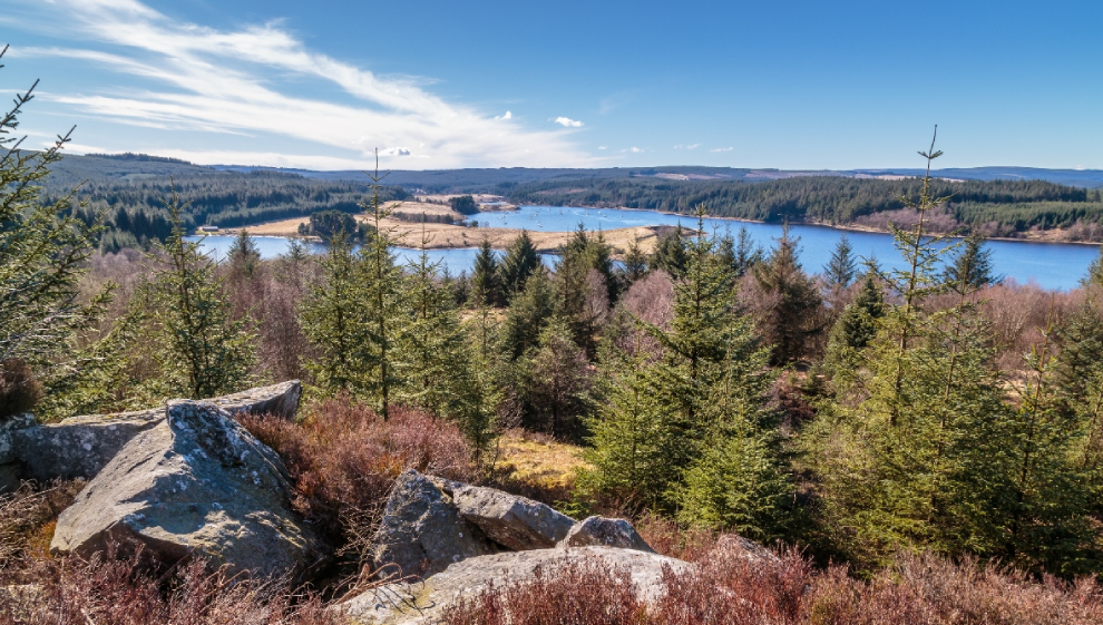 Kielder Forest Lakeside Way