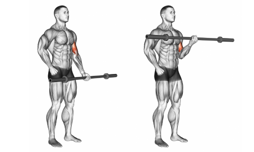 Empty barbell curls for bigger biceps