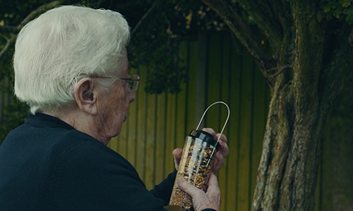 Elderly woman feeding birds - s promo