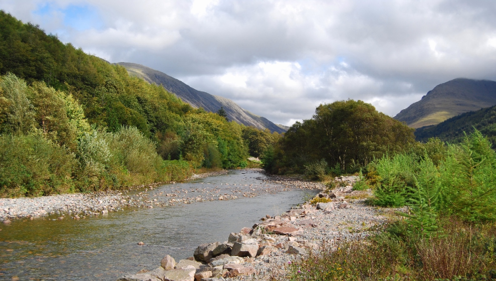 Ennerdale Forest loop