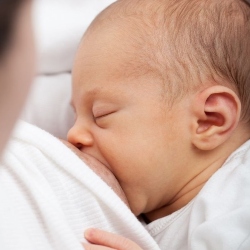 feeding baby