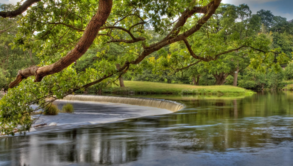 Horseshoe Falls