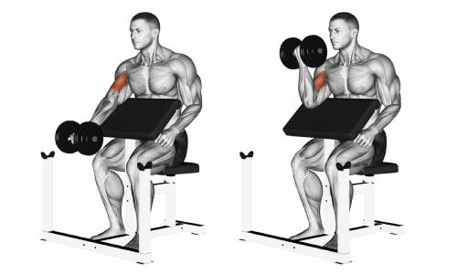 One arm preacher curls for bigger biceps