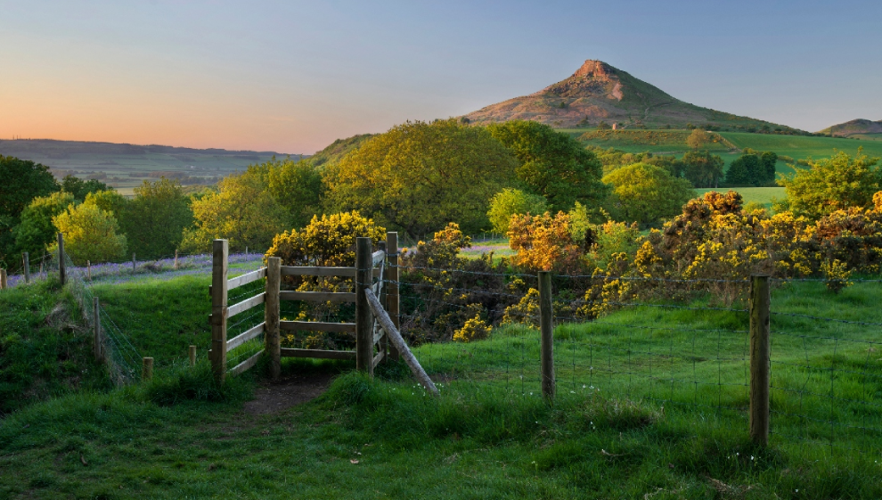 Roseberry Topping